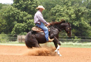 Whizn Footwork
