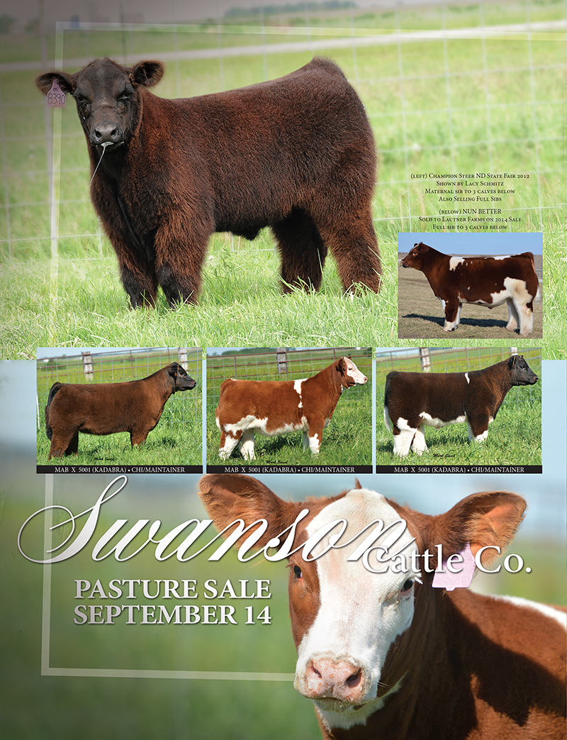 supersync cattle supersync cattle