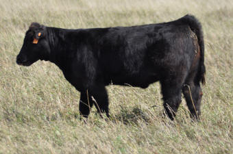 September picture of S57