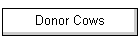 Donor Cows