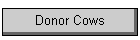 Donor Cows